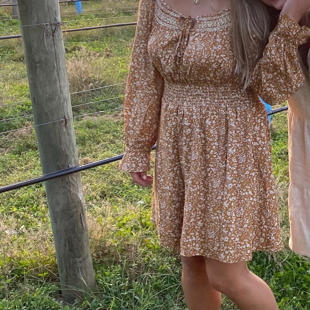 Fall dress !